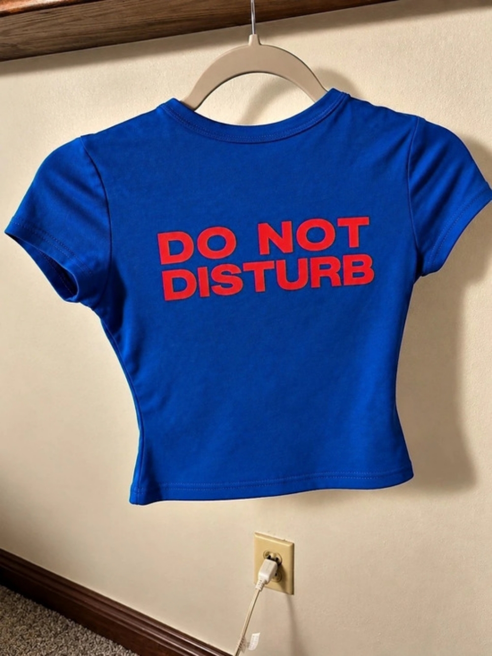Edikted Graphic Crop Tee in Blue Size XS Like New